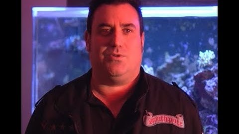 David Noller of Dynamix II (Part 1 of 6) #DynamixII #miamibass