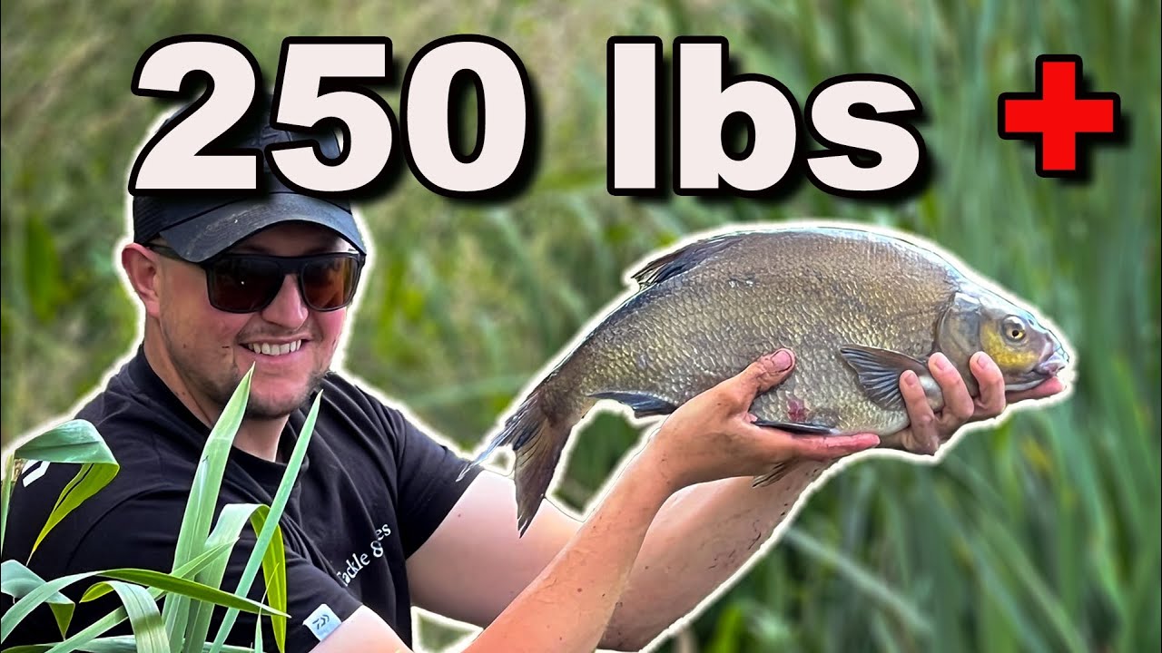 Feeder Fishing for Bream: Swing Tip vs Window Feeder Challenge!