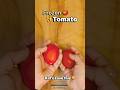 Frozen Tomatoes Hack You Must Try! 💯🍅✨ Kid’s love it 🙈💕 #viral #food #shorts