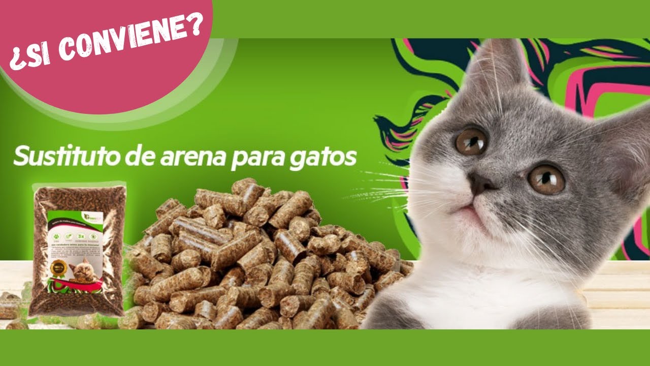 Qué significa dar gato por liebre