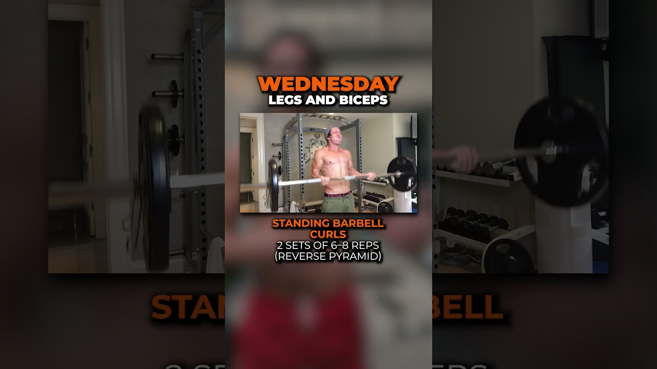 The Movie Star Workout Routine (PART  2)