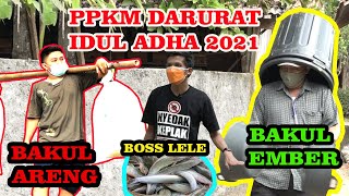 PPKM IDUL ADHA - GEGER BAKUL ARENG, BAKUL EMBER, BOS LELE (LUCU NGAKAK)