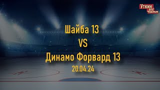 Шайба 13 - Динамо Форвард 13, 20.04.24
