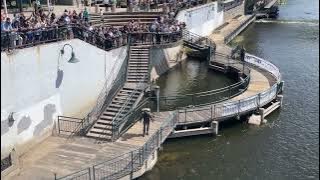 Jet pack man flies over Grand River in Grand Rapids