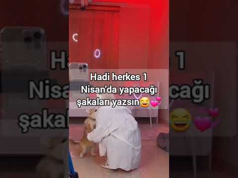 Hadi herkes 1 Nisan'da yapacağı şakaları yazsın😂💞