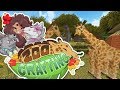 The Final Tour of the Zoo?! 🐼🌿 Zoo Crafting: Seasons of Discovery • #7