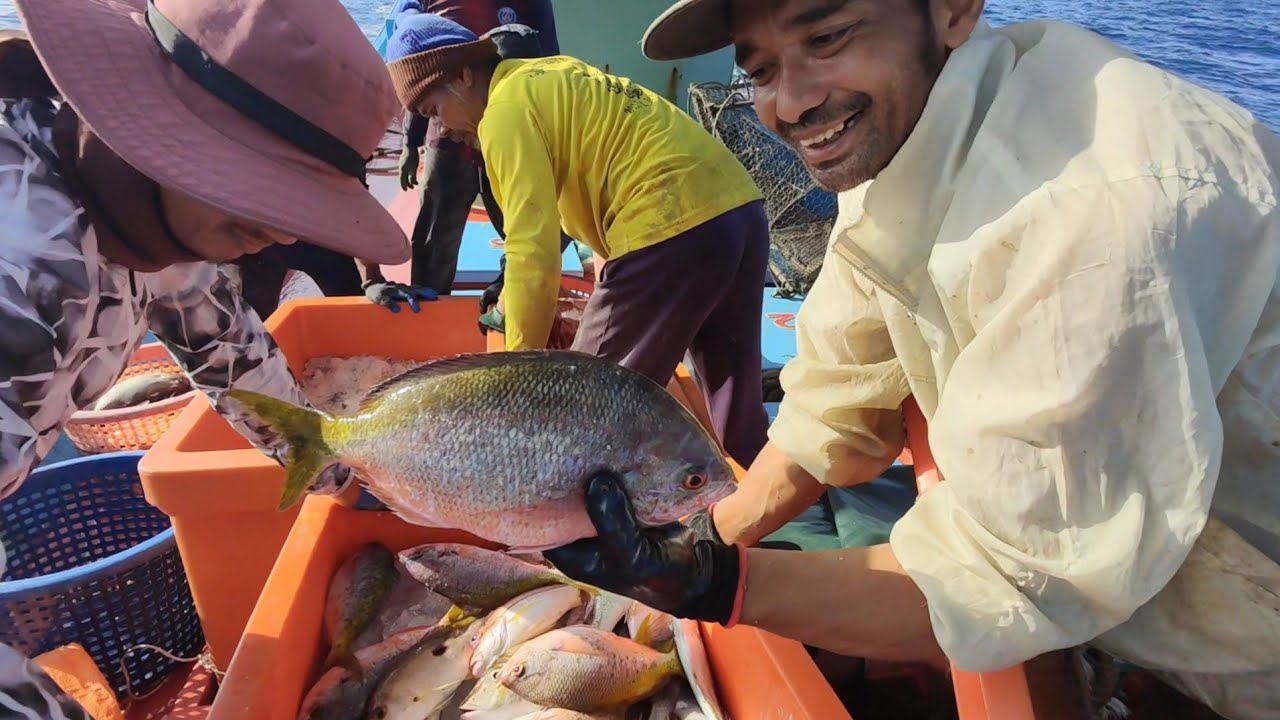 rezeki bubu besar laut dalam musim monsun timur laut 