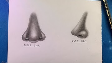 How to Draw a Realistic Nose - Front and Side View Tutorial