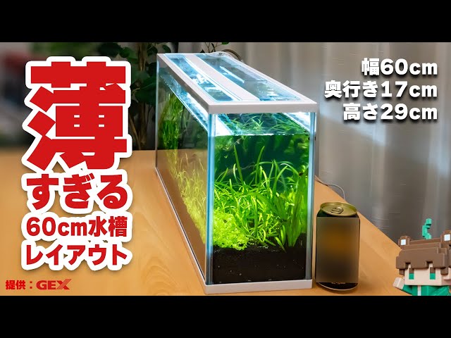 2025 Latest Product] Too Thin! But the GEX Slim Aqua 600S is a