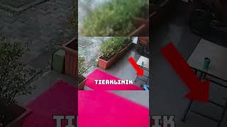 Eine Heldin auf vier Pfoten: Hund bringt Welpen zur Rettung! 🐾❤️