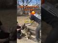 Cop Trespasses On Private Property TO TAKE Lady's Dog! Cop Violating Rights Without Warrant Sued!