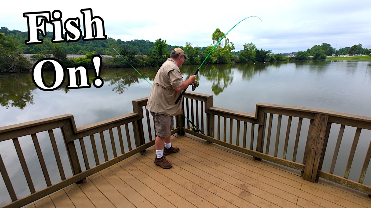 Strawberry Jello Chicken Gizzards for Catfish?! (Public Pond Bank Fishing Test)