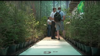 INTERFORST 2022 - Zukunft des Waldbaus