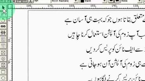 BSR Screen Recorder Zoom Option.wmv