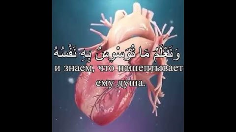 اسلام صبحي - حالات واتس اب قران كريم 🌸💗