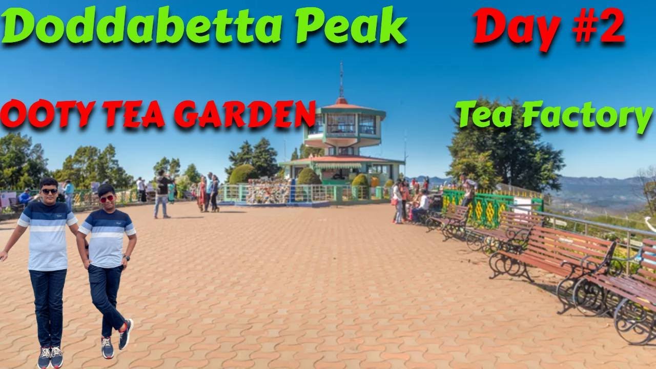 Ooty Doddabetta View Ooty Tea Factory Museum And Chocolate Factory ooty-doddabetta-view-ooty-tea-factory-museum-and-chocolate-factory