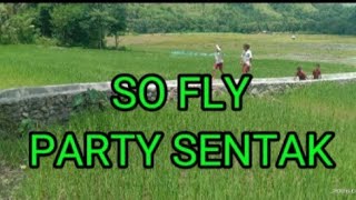 Party Sentak SO FLY 
