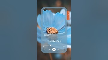 سورة الضحى /بصوت الشيخ ياسر الدوسري #القرآن_الكريم #ياسر_الدوسري اكتب شيء تؤجر عليه/ راحة نفسية