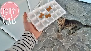 Ice Tray Food Puzzle For CATS 🧊 by Samo Tries Cat Stuff 410 views 3 months ago 42 seconds