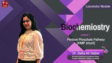 8. (Pentose Phosphate Pathway (HMP Shunt