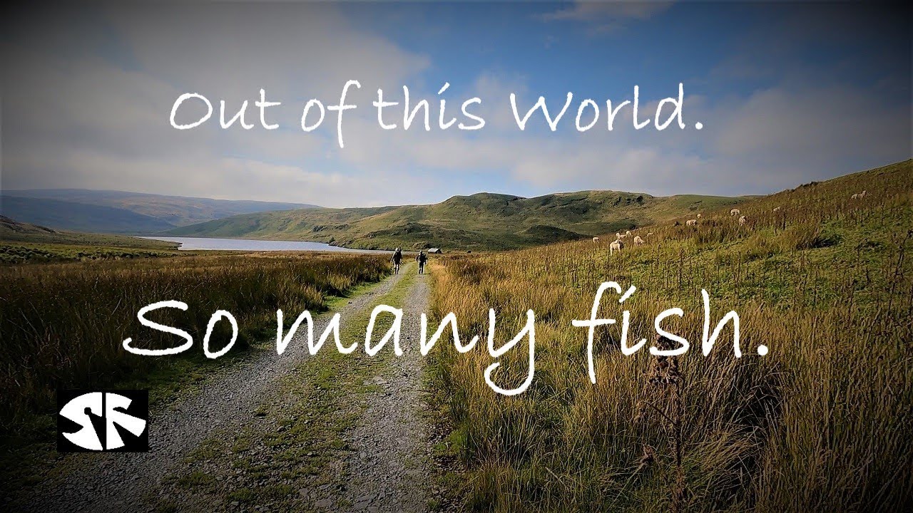 Fly Fishing UK. Fishing at 1700 feet in search of the Rare Black Finned