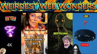 weirdest web wonders vol 231
