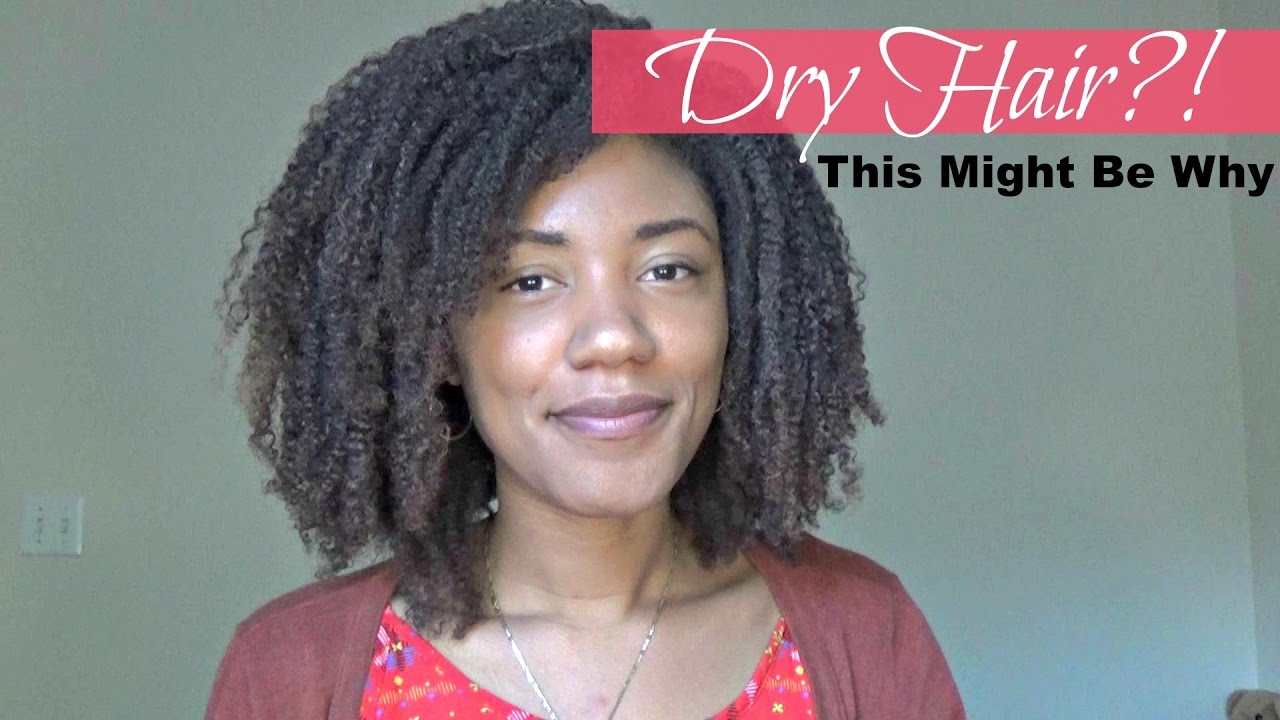 This MIGHT Be Why Your Hair Is DRY - YouTube