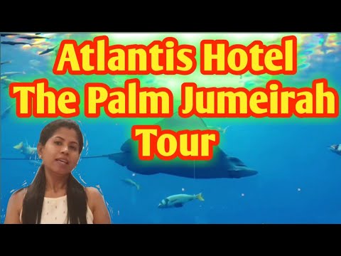 Atlantis Hotel || The Palm Jumeirah Dubai Tour || Best Hotel in Dubai || Atlantis Aquarium ||