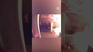 Man Saves Family From House Fire After Getting Lost While Driving