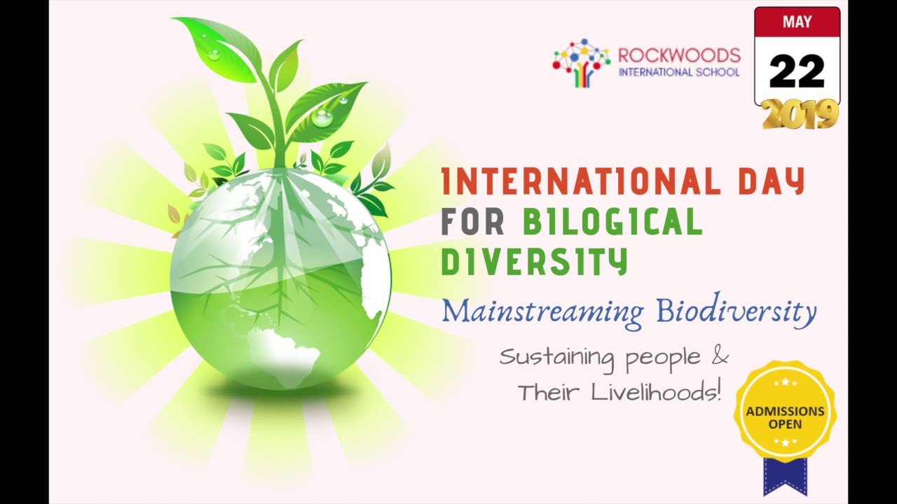 School Updates | May 2019 | Rockwoods International School | Yamnampet | Hyderabad