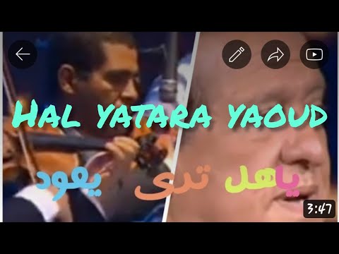 يا هل ترى يعود محمود الادريسي
