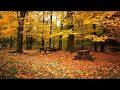 1 Hora de sonidos relajantes HD - Brisas de otoño