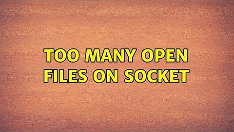 Too many open files on socket
