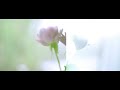 イロムク「君に詠む物語」Music Video