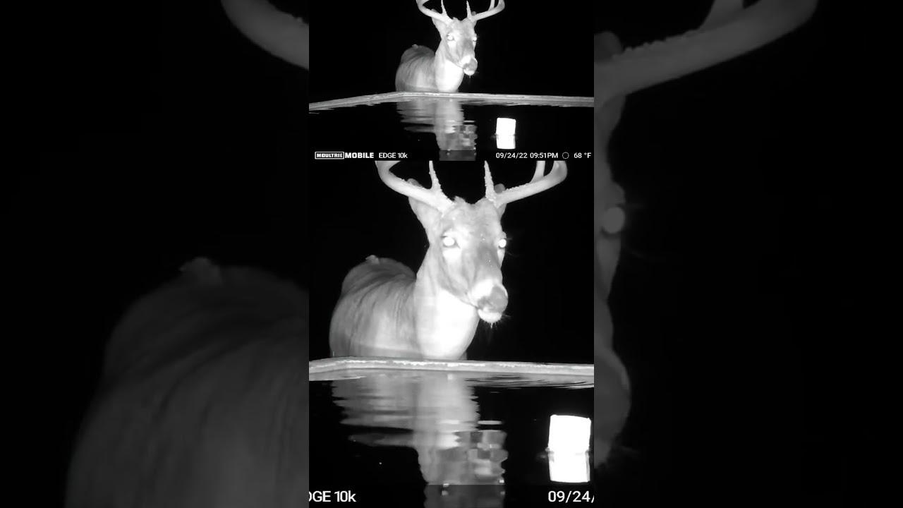 Water break. 📸: Blake Garrett