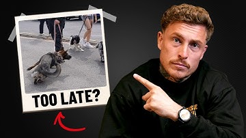 The #1 Mistake Reactive Dog Owners Make (Real-Life Transformation)