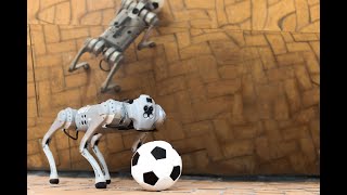 A soccer-playing robot equipped for various terrains