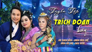 Tuyển Tập Trích Đoạn Hay Nhất 2020 - Bùi Trung Đẳng - Lương Hồng Huệ - Hồng Cẩm Huệ