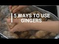 5 Ways to use gingers! ZERO WASTE! /how to make ginger tea/ginger wine/ginger powder/ginger starch