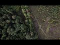 DJI AIR 2S  balls near Naro-Fominsk