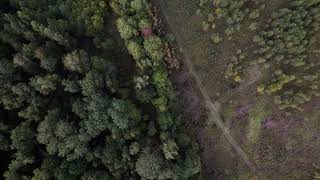 DJI AIR 2S  balls near Naro-Fominsk