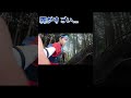東京都最高峰の雲取山を日帰りソロ登山【トレラン】 #トレラン #ランニング #running #登山 #running#ランニング#自然