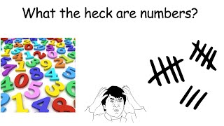 What the heck are numbers?