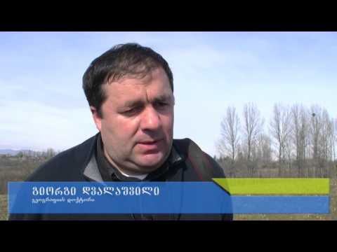 ზესტაფონის ღირშესანიშნავ ადგილებსა და ისტორიულ ძეგლებზე სპეციალური რუქა შეიქმნება