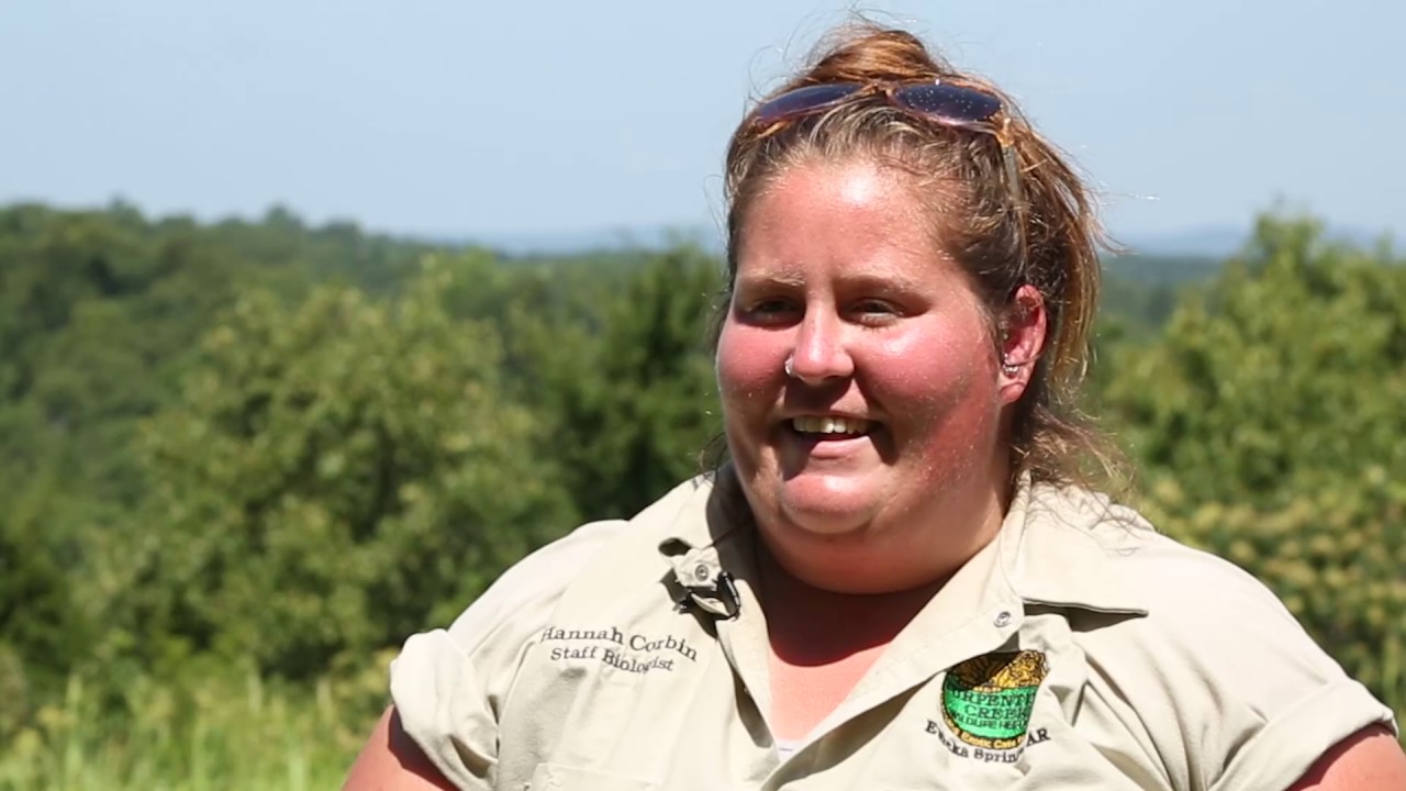rescue dogs rock nyc TCWR celebrates zookeeper week - Meet Hannah
