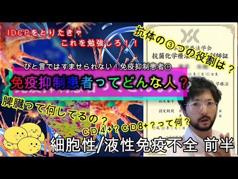 ⑤令和に語る！免疫抑制患者って何？③細胞性/液性免疫 前編！