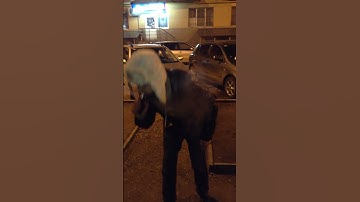 Smoke x cube 2 + Mutation x v4