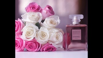 hướng dẫn cách thiết kế quyển menu nhà hàng, học đồ họa chuyên nghiệp