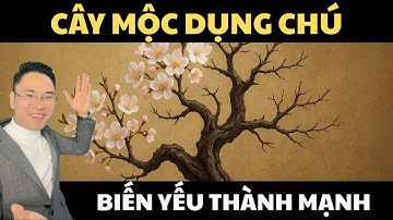 Cây Mộc Dụng Chú – Nghệ Thuật Khiến Cây Khô Nở Hoa | Chiến Lược Biến Yếu Thành Mạnh