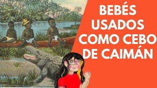 Bebés negros usados como cebo de caimán